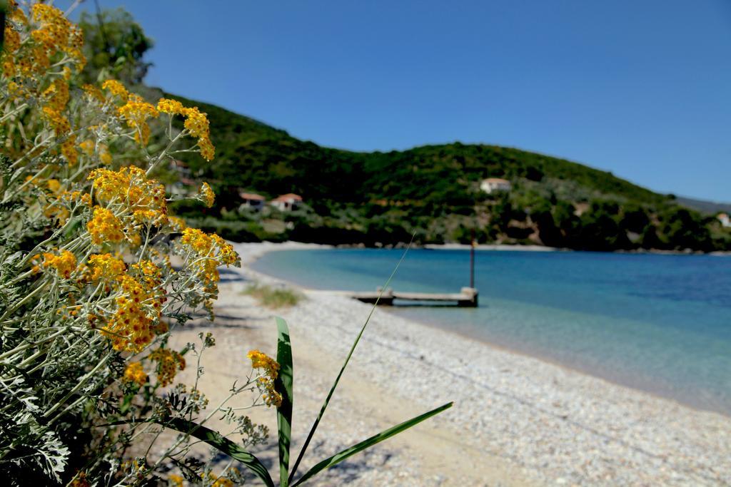 Casa Kalypso Suites & Villa Steni Vala Alonissos Bagian luar foto